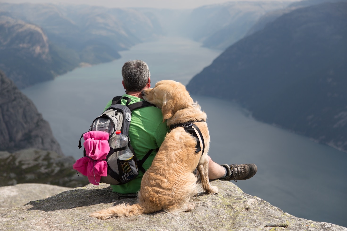 Pet Wellness Tips For The Adventurous Explorer